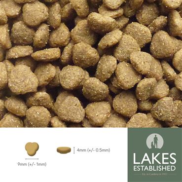 Hypoallergenic Puppy Food - Turkey