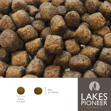 Hypoallergenic Dog Food Sample - Lamb