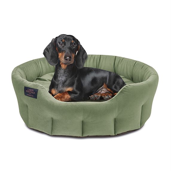 Nest Dog Bed - Green