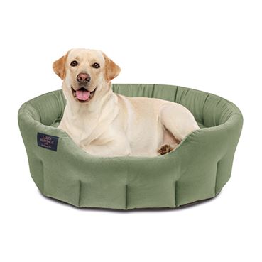 Nest Dog Bed - Green