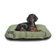 Cushioned Dog Bed - Green