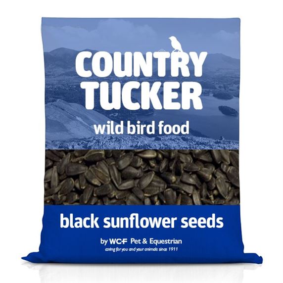 Black Sunflower Seeds