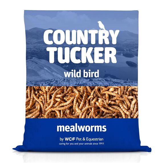 Mealworms